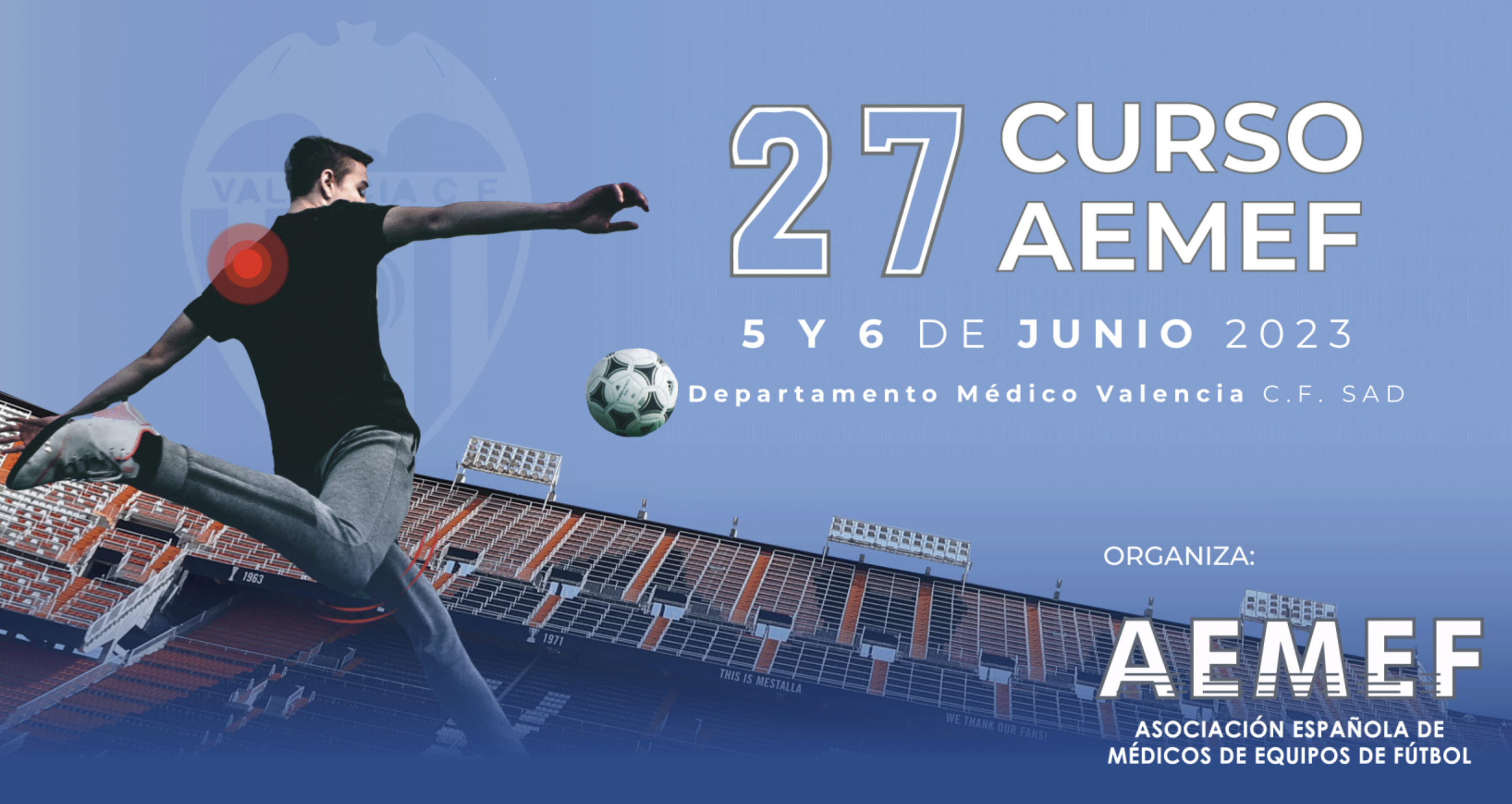 XXVII AEMEF Course