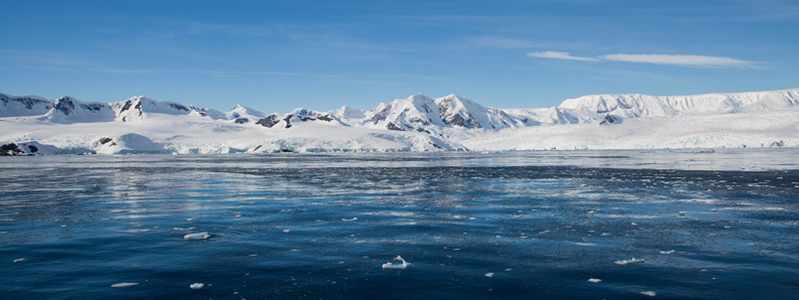 Did you know that Marine Protected Areas are part of Sustainable Development Goal 14?
