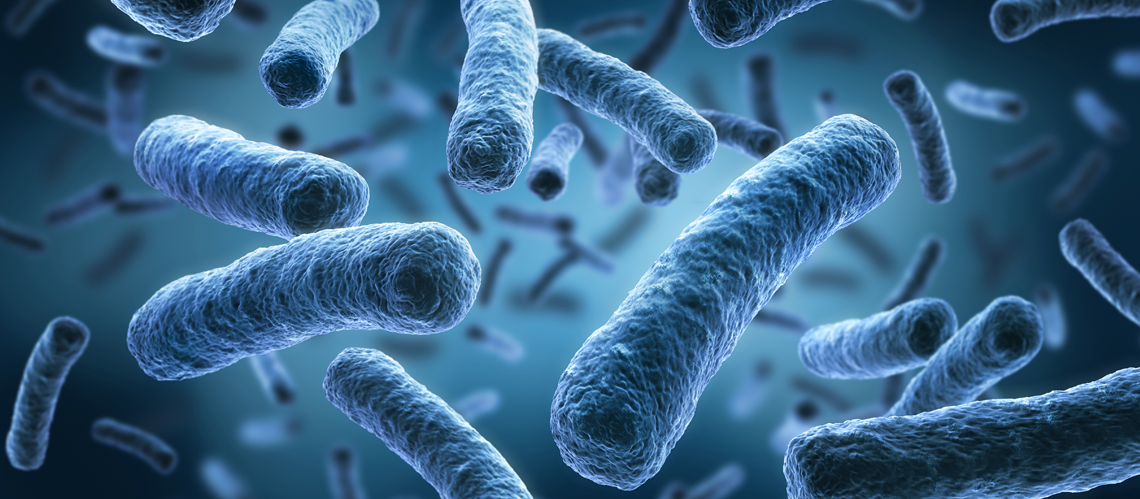 Microbiota and probiotics  