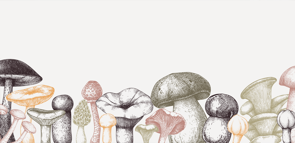 We already have them!