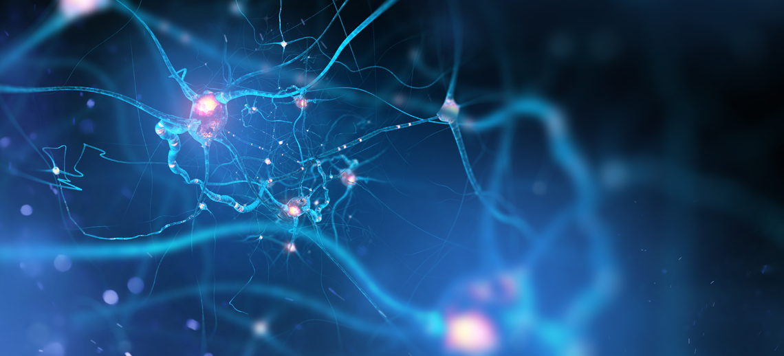 The vagus nerve, the key to well-being