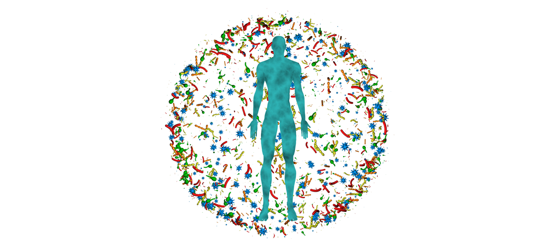Relationship between intestinal microbiota and the immune system