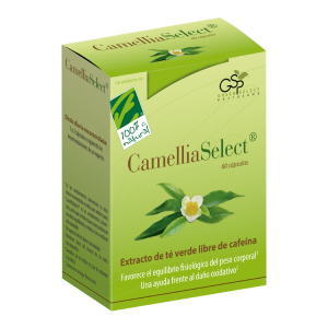 Camellia Select