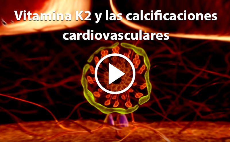 Vitamin K2 and cardiovascular calcifications