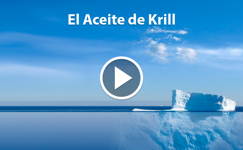 Do you know Krill Oil?