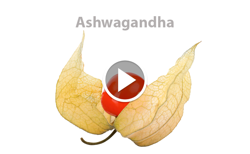 Do you know Ashwagandha?