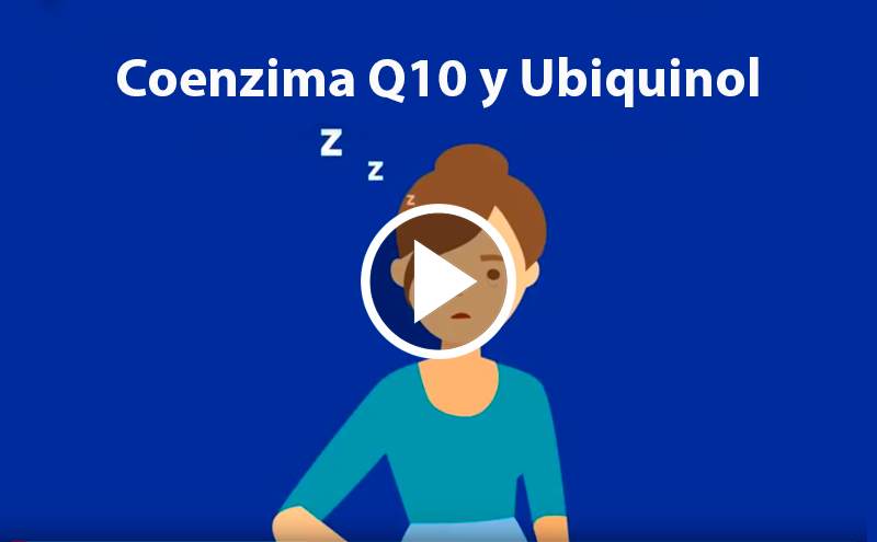 What is Coenzyme Q10?