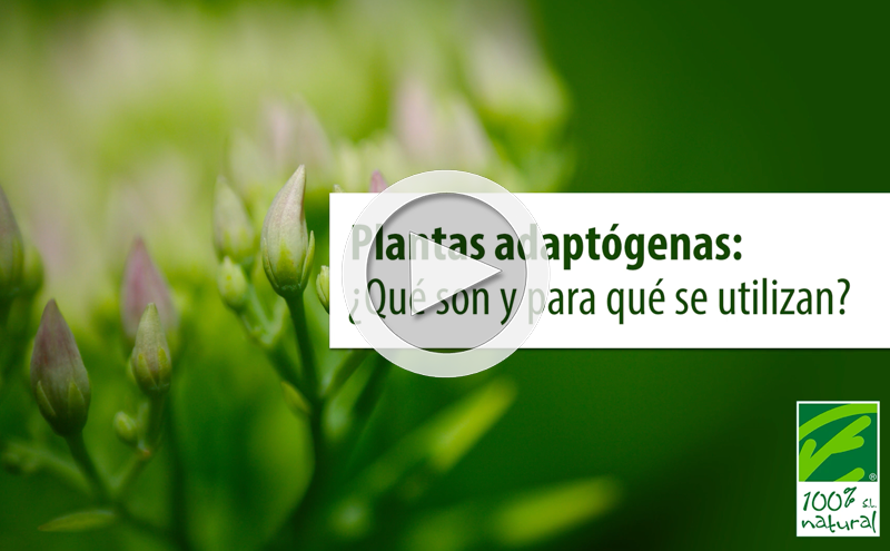 Adaptogenic plants: What are they and what are they used for?