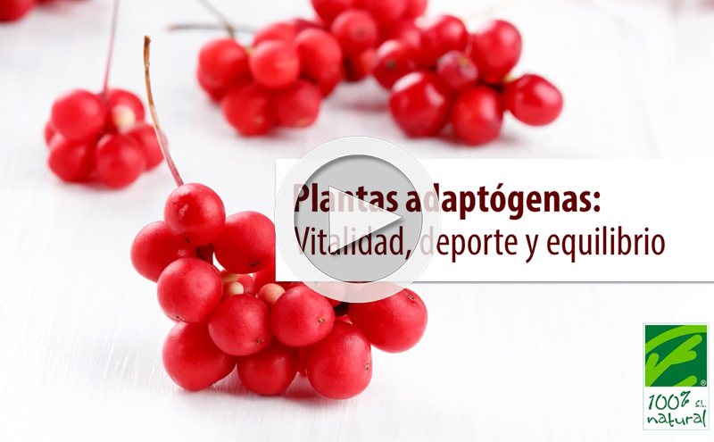 Adaptogenic Plants: Vitality, Sport and Balance