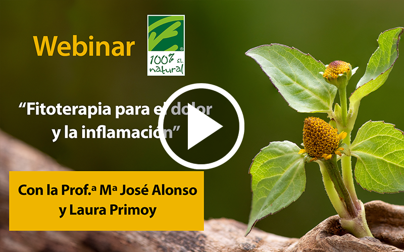 Webinar “Phytotherapy for Pain and Inflammation”