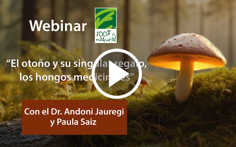 Webinar “Autumn and its unique gift: medicinal mushrooms”