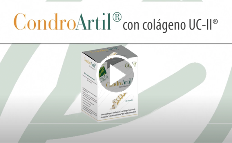 Type II undenatured collagen